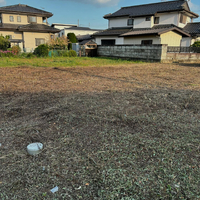 画像337