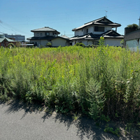 画像338