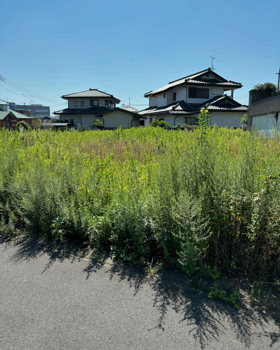 画像338