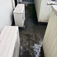 画像529
