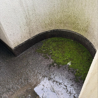 画像531