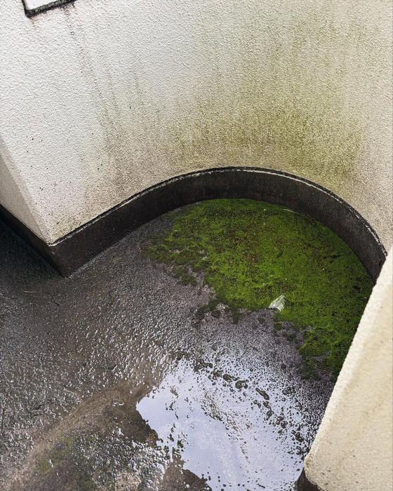 画像531