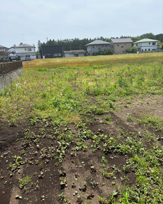 画像546