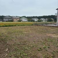 画像549
