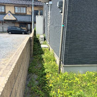 画像633