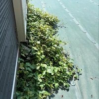 画像645